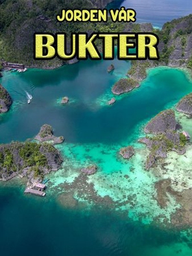 Bukter (ebok) av Edward Alan Kurtz
