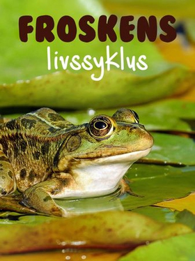 Froskens livssyklus (ebok) av Pamela Morris