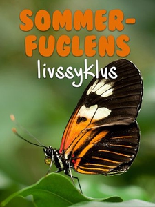 Sommerfuglens livssyklus (ebok) av Pamela Mor