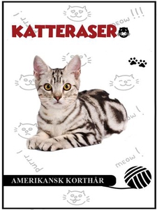 Amerikansk korthår (ebok) av Tania Cheslaw