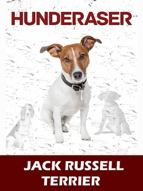 Jack Russel terrier (ebok) av Ukjent, Susan M