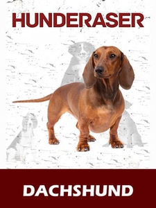 Dachs (ebok) av Susan Miller