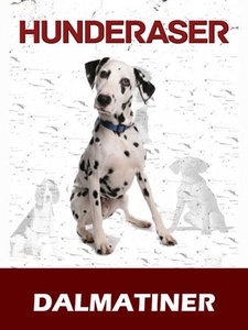 Dalmatiner (ebok) av Susan Miller