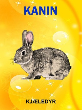 Kaniner og harer (ebok) av Tania Cheslaw