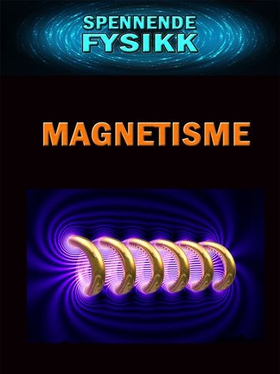 Magnetisme (ebok) av Edward Alan Kurtz