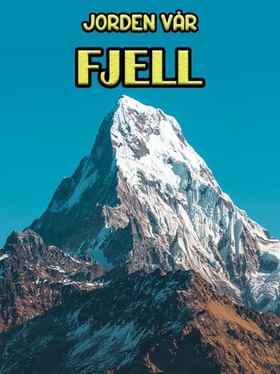 Fjell (ebok) av Edward Alan Kurtz