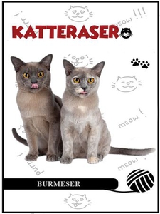 Burmeseren (ebok) av Tania Cheslaw