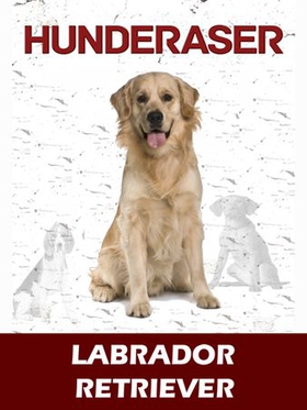 Labrador retriever (ebok) av Susan Miller