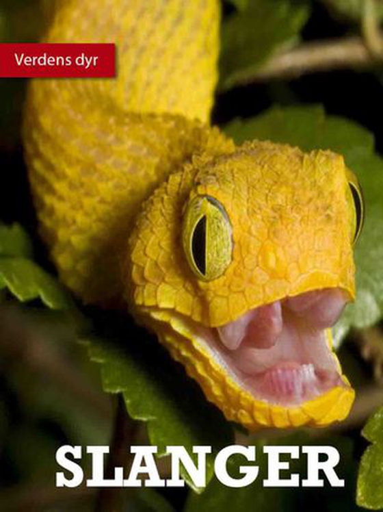 Slanger