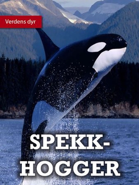 Spekkhoggere (ebok) av Reidar Hansen