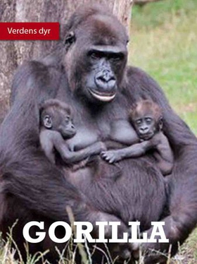 Gorillaen (ebok) av Natalie Reed