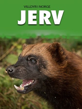 Jerv (ebok) av Jan Ruud