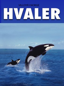 Hvaler (ebok) av Tania Cheslaw, Nils Norseth