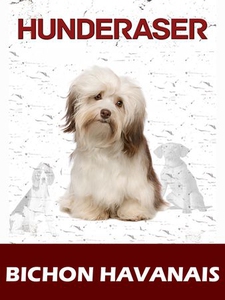 Bichon havanais (ebok) av Susan Miller