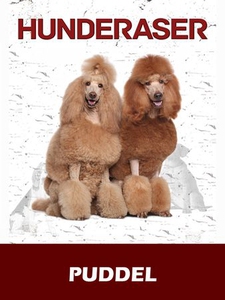 Puddel (ebok) av Susan Miller