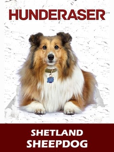 Shetland sheepdog (ebok) av Susan Miller