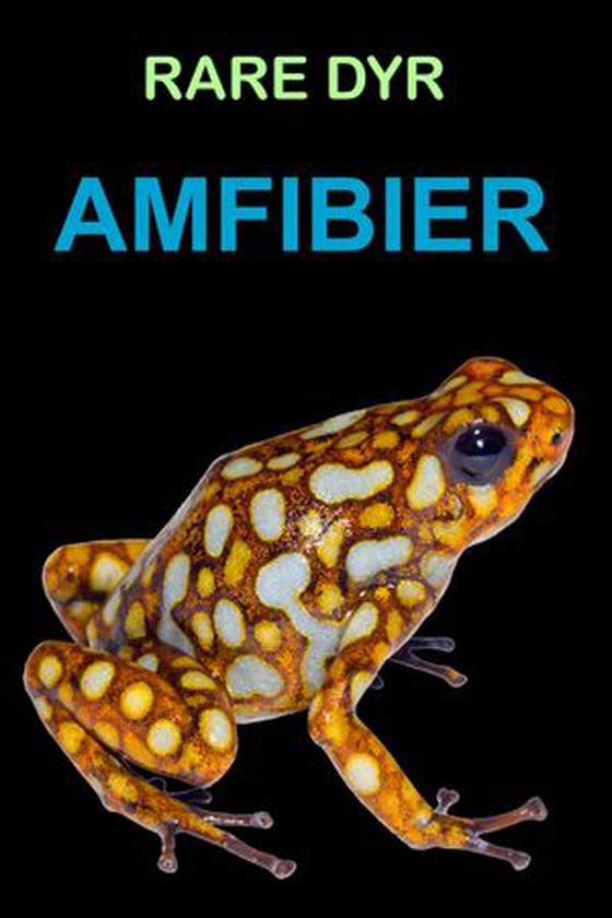 Amfibier