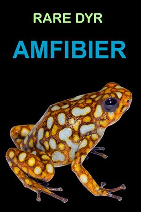Amfibier (ebok) av Edward Alan Kurtz