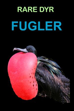 Fugler (ebok) av Edward Alan Kurtz