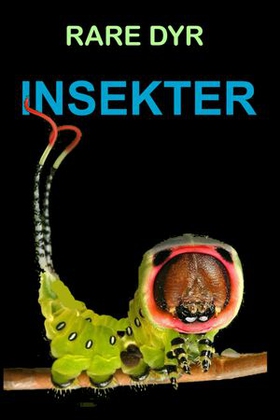 Insekter (ebok) av Edward Alan Kurtz