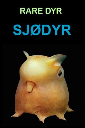 Sjødyr