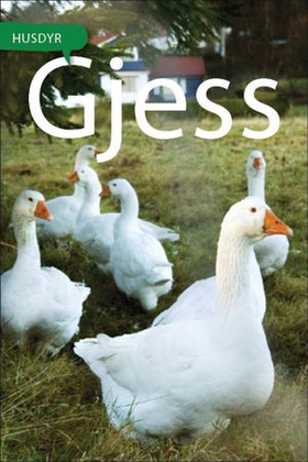 Gjess (ebok) av Kari Hansen