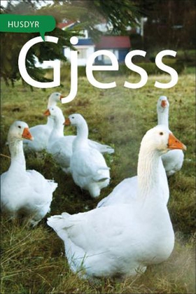 Gjess