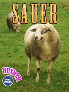 Sauer (ebok) av Eva Jensen