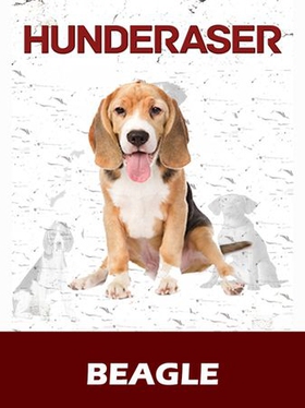 Beagle (ebok) av Susan Miller