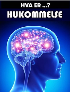 Hukommelse (ebok) av Anniken Schiøll