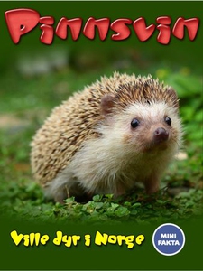 Pinnsvin (ebok) av Marte Østmoe