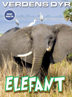 Elefant (ebok) av Ukjent