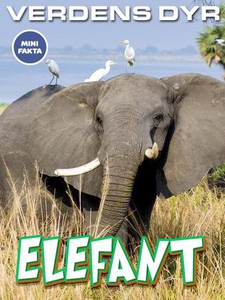 Elefant (ebok) av Ukjent