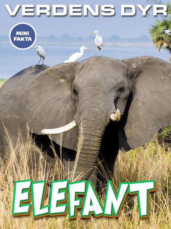 Elefant