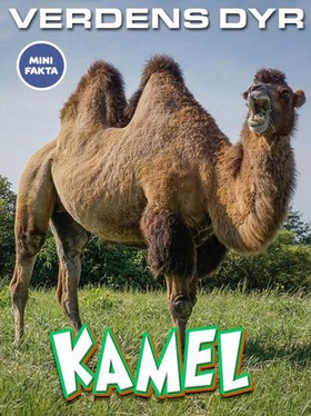 Kamel (ebok) av Ukjent