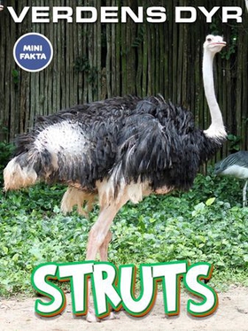 Struts (ebok) av Maria Ling
