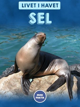 Sel (ebok) av Ukjent