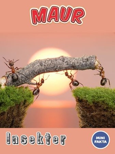 Maur (ebok) av Ukjent