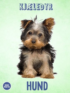 Hund (ebok) av Tania Cheslaw