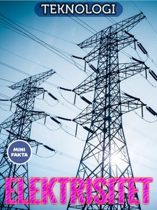 Elektrisitet (ebok) av