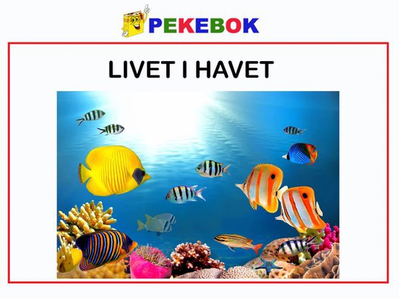 Livet i havet