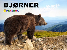 Bjørner (ebok) av Ukjent