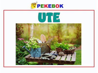 Ute (ebok) av Ukjent