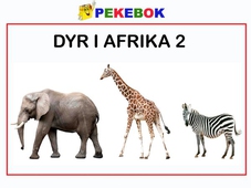 Dyr i Afrika 2