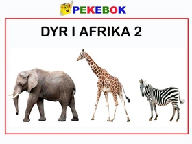 Dyr i Afrika 2 (ebok) av Ukjent