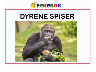 Dyrene spiser 1 (ebok) av Ukjent