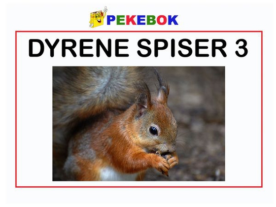 Dyrene spiser 3
