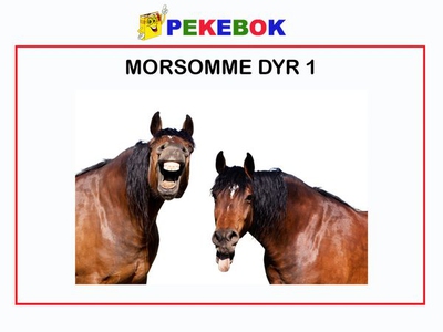 Morsomme dyr 1 (ebok) av Ukjent