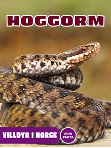 Hoggorm (ebok) av Natalie Wood