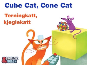 Terningkatt, kjeglekatt = Cube cat, cone cat (ebok) av Praba Ram